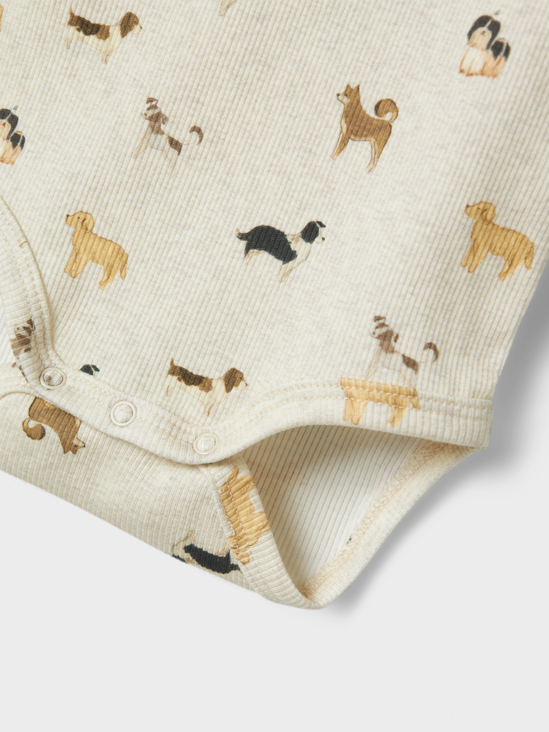 model_shot-front_full